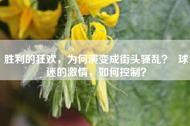胜利的狂欢，为何演变成街头骚乱？  球迷的激情，如何控制？
