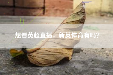 想看英超直播，新英体育有吗？