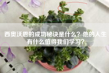 西奥沃恩的成功秘诀是什么？他的人生有什么值得我们学习？