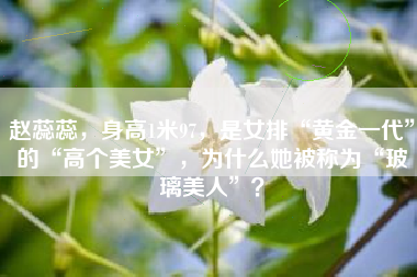 赵蕊蕊，身高1米97，是女排“黄金一代”的“高个美女”，为什么她被称为“玻璃美人”？