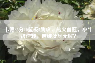 韦德36分10篮板5助攻，热火首冠，小牛被逆转，诺维茨基无解？
