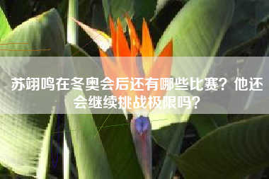 苏翊鸣在冬奥会后还有哪些比赛？他还会继续挑战极限吗？
