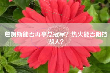 詹姆斯能否再拿总冠军？热火能否阻挡湖人？