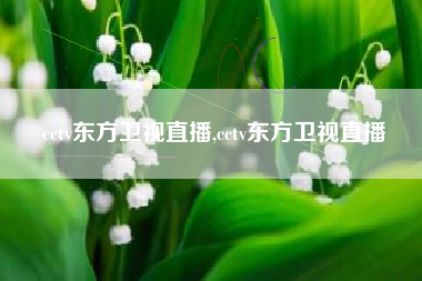 cctv东方卫视直播,cctv东方卫视直播