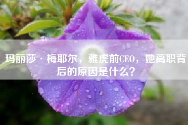 玛丽莎·梅耶尔，雅虎前CEO，她离职背后的原因是什么？