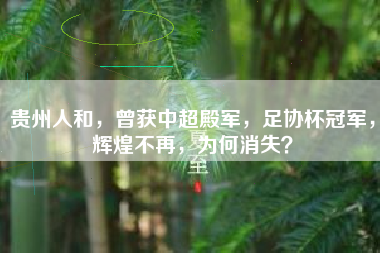 贵州人和，曾获中超殿军，足协杯冠军，辉煌不再，为何消失？