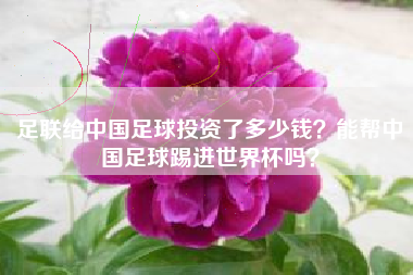 足联给中国足球投资了多少钱？能帮中国足球踢进世界杯吗？