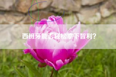 西班牙能否轻松拿下智利？
