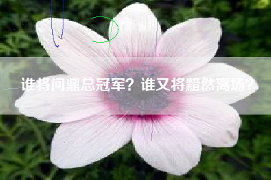 谁将问鼎总冠军？谁又将黯然离场？