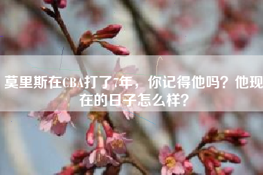 莫里斯在CBA打了7年，你记得他吗？他现在的日子怎么样？