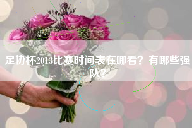 足协杯2013比赛时间表在哪看？有哪些强队？