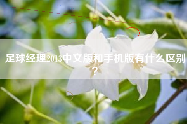 足球经理2013中文版和手机版有什么区别？