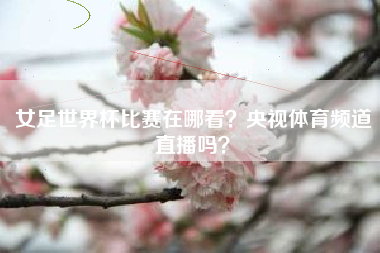 女足世界杯比赛在哪看？央视体育频道直播吗？