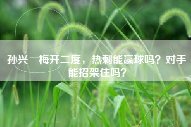 孙兴慜梅开二度，热刺能赢球吗？对手能招架住吗？