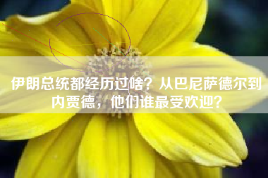 伊朗总统都经历过啥？从巴尼萨德尔到内贾德，他们谁最受欢迎？