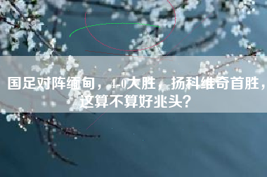 国足对阵缅甸，4-0大胜，扬科维奇首胜，这算不算好兆头？