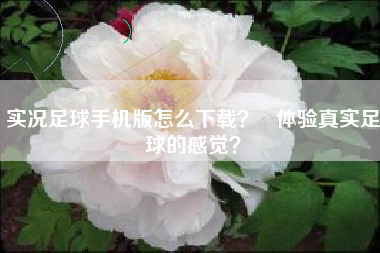 实况足球手机版怎么下载？   体验真实足球的感觉？