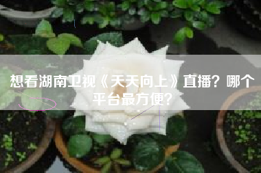 想看湖南卫视《天天向上》直播？哪个平台最方便？