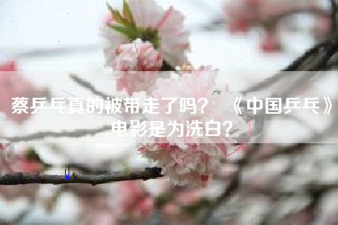 蔡乒乓真的被带走了吗？  《中国乒乓》电影是为洗白？