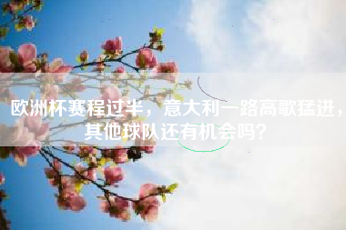 欧洲杯赛程过半，意大利一路高歌猛进，其他球队还有机会吗？