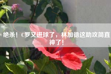 绝杀！C罗又进球了，林加德这助攻简直神了！