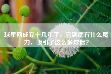 球星网成立十几年了，它到底有什么魔力，吸引了这么多球迷？