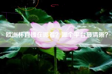 欧洲杯直播在哪看？哪个平台最清晰？