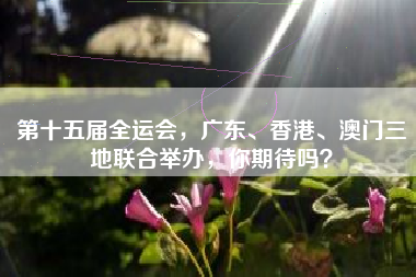 第十五届全运会，广东、香港、澳门三地联合举办，你期待吗？
