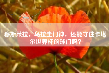 穆斯莱拉，乌拉圭门神，还能守住卡塔尔世界杯的球门吗？
