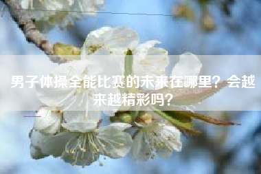 男子体操全能比赛的未来在哪里？会越来越精彩吗？