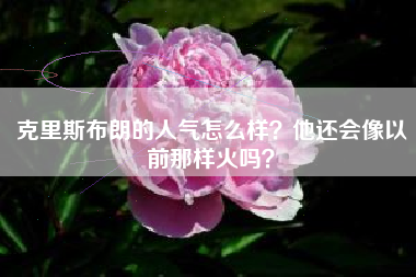 克里斯布朗的人气怎么样？他还会像以前那样火吗？