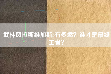 武林风拉斯维加斯3有多燃？谁才是最终王者？