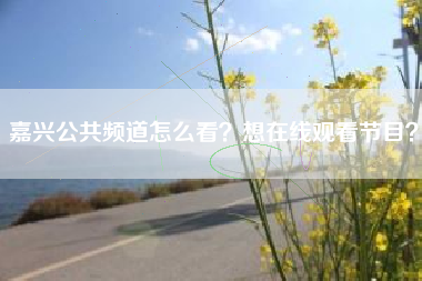 嘉兴公共频道怎么看？想在线观看节目？