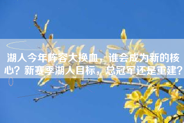 湖人今年阵容大换血，谁会成为新的核心？新赛季湖人目标，总冠军还是重建？
