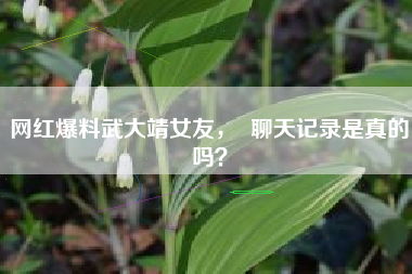 网红爆料武大靖女友，  聊天记录是真的吗？