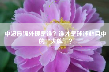 中超最强外援是谁？谁才是球迷心目中的“大牌”？