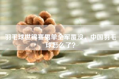 羽毛球世锦赛男单全军覆没，中国羽毛球怎么了？