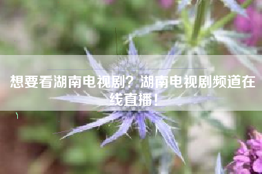 想要看湖南电视剧？湖南电视剧频道在线直播！
