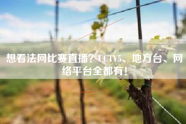 想看法网比赛直播？CCTV5、地方台、网络平台全都有！