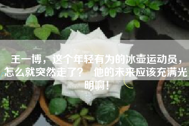 王一博，这个年轻有为的冰壶运动员，怎么就突然走了？  他的未来应该充满光明啊！