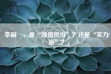 李嗣镕，是“颜值担当”？还是“实力派”？