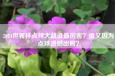 2014世界杯点球大战谁最厉害？谁又因为点球遗憾出局？