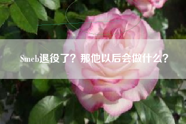 Smeb退役了？那他以后会做什么？