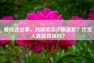 爱钱进出事，刘国梁该不该道歉？代言人真能背锅吗？