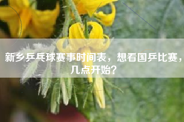 新乡乒乓球赛事时间表，想看国乒比赛，几点开始？