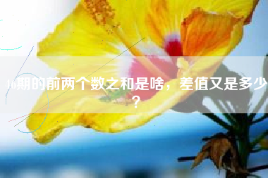 46期的前两个数之和是啥，差值又是多少？