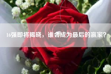 16强即将揭晓，谁会成为最后的赢家？