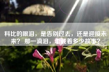 科比的眼泪，是告别过去，还是迎接未来？ 那一滴泪，承载着多少故事？