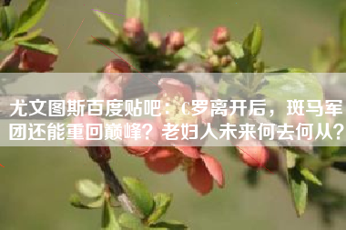 尤文图斯百度贴吧：C罗离开后，斑马军团还能重回巅峰？老妇人未来何去何从？