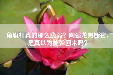 角旗杆真的那么脆弱？陶强龙踢断它，是真以为能弹回来吗？